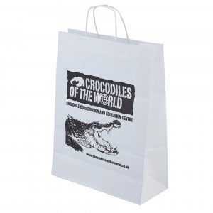 Eco Branded Boutique Paper Carrier bags