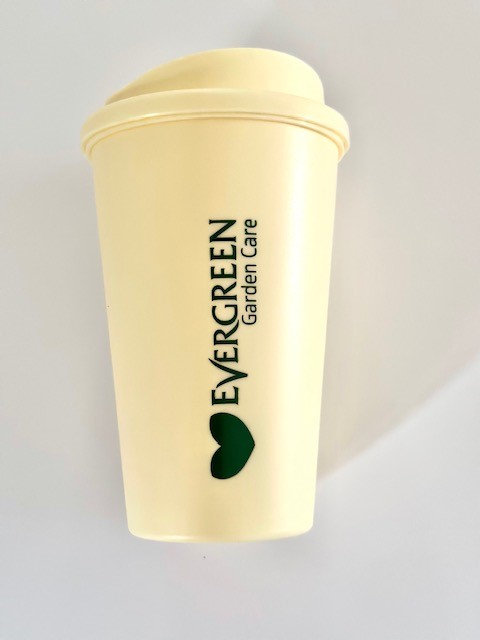 Evergreen Cup